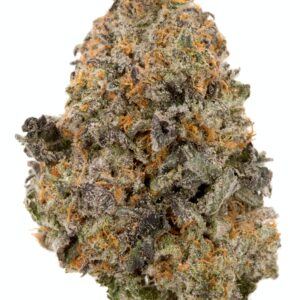 Gelato strain for sale