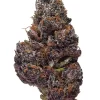Buy Black Cherry Soda weed strain - buy weed in usa