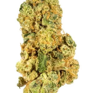 first class funk strain