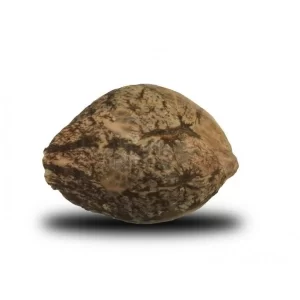 pineapple kush seeds for sale