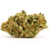 buy white widow online