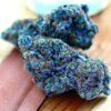 Blue Dream for sale