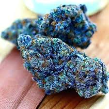 Blue Dream for sale