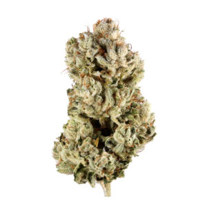 Buy Gorilla Glue #4 Online