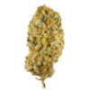 buy jack herer online