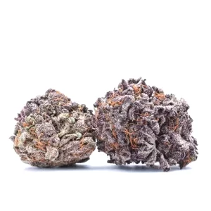  purple haze for sale