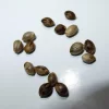 purple kush seeds