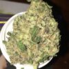 99 Problems weed strain for sale