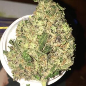 99 Problems weed strain for sale