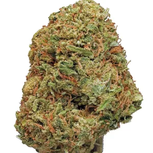 buy northern lights strain online