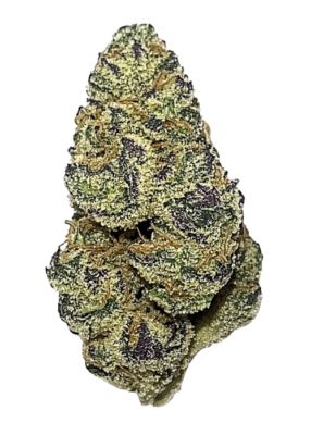 Brain Freeze Strain,