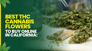 California Online Weed Dispensary Worldwide Shipping,