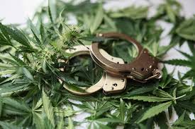 Legit Online Weed Dispensary Shipping,