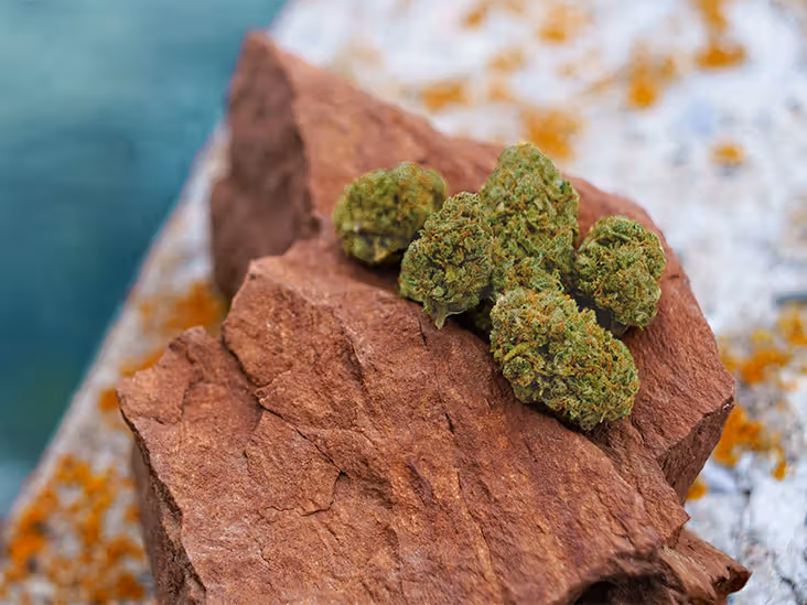 Moonrocks Weed Delivery,