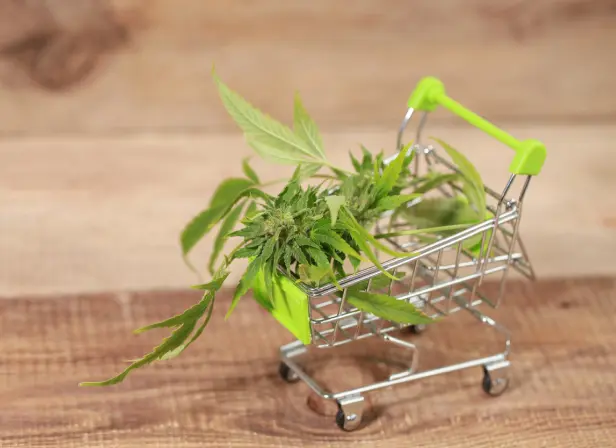 Most Trusted Online Dispensary Shipping Worldwide,