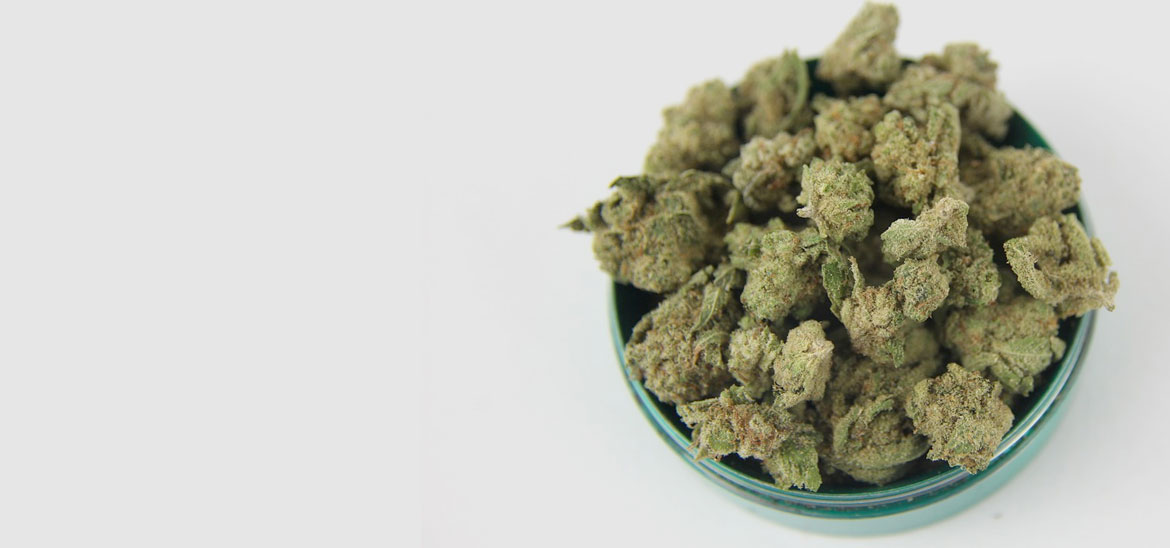 Weed Shop Online No Id,